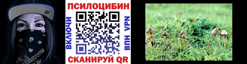 Псилоцибиновые грибы Psilocybine cubensis  Богданович 